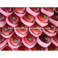 shandong fresh red delicious apple exporter